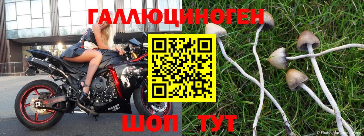 Псилоцибиновые грибы ЛСД  Галлюциногенные грибы Psilocybe  Волжск  Вход с VPN 