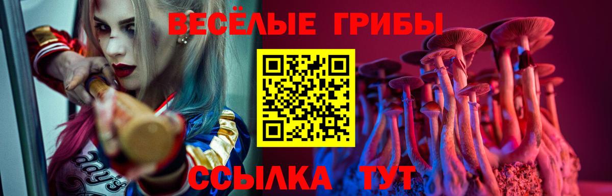 Псилоцибиновые грибы MAGIC MUSHROOMS Волжск
